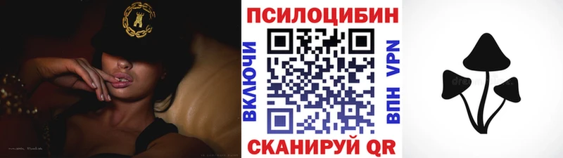 где можно купить   Калтан  hydra зеркало  Псилоцибиновые грибы GOLDEN TEACHER 